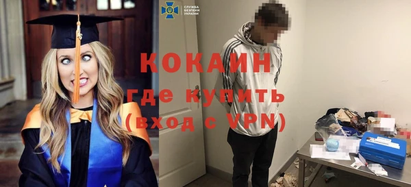 индика Абаза