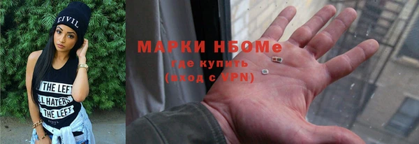 индика Абаза