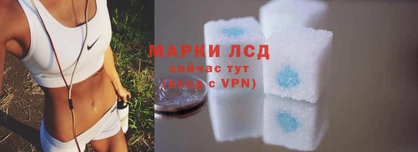 индика Абаза