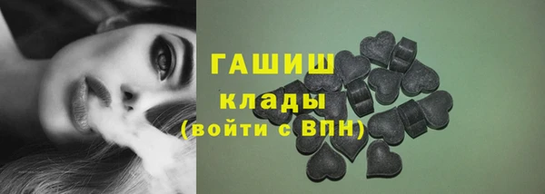 индика Абаза