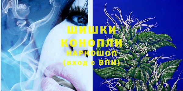 индика Абаза