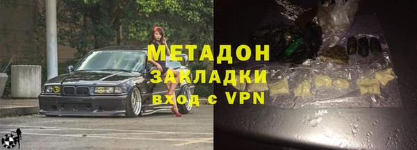 индика Абаза