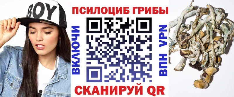 Псилоцибиновые грибы мухоморы  blacksprut ССЫЛКА  Балахна 